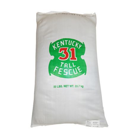 Pickseed Kentucky 31 Tall Fescue 50 Lbs Bag Reinders Pickseed Kentucky 31 Tall Fescue 50 Lb Bag
