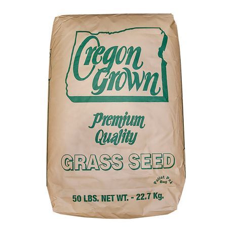 Pickseed Annual Ryegrass Seed 50 Lbs Bag Reinders Pickseed Annual Ryegrass Seed 50 Lb Bag